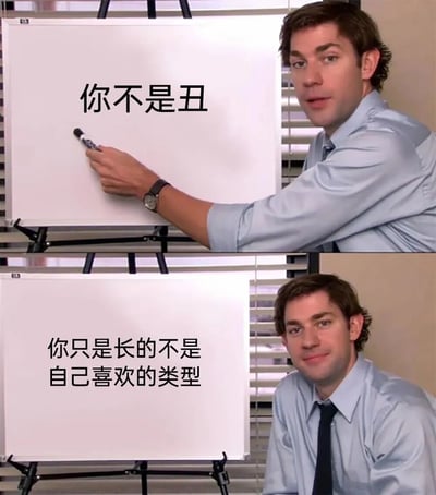 这是一张由《The Office》电视剧截图改编的双格梗图。上图中，Jim Halpert穿着蓝色衬衫，手持马克笔在白板上写字，白板上显示“你不是丑”；下图中，他坐在白板前，白板上的文字变为“你只是长的不是自己喜欢的类型”。图片通过幽默方式传达了关于自我接纳和外貌焦虑的积极信息，安慰那些可能对自己外表不满意的人。