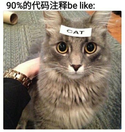 这是一张针对程序员群体的吐槽梗图，顶部配有中文文字“90%的代码注释be like:”，图中主体是一只灰色长毛猫咪，它被人用手托着脖子，额头处被贴上了一张写有英文“CAT”的白色纸条，猫咪睁着圆溜溜的大眼睛，表情看起来懵圈又惊讶。这张图用非常形象的方式吐槽了很多程序员写的代码注释毫无意义，就像给猫咪贴纸条标注“猫”一样，只是重复了显而易见的信息，完全没有起到注释本该有的解释代码逻辑、用途的作用，精准戳中程序员日常写代码时遇到的无效注释痛点，充满了调侃意味。