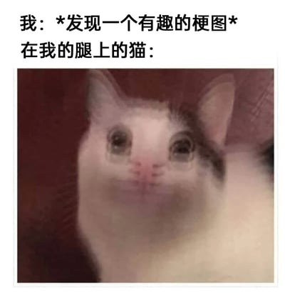 这是一张图文混排的搞笑梗图，上方文字构建场景：主人发现了有趣的梗图，想要查看，但腿上的猫咪却用一张眼含泪水、表情委屈巴巴的模糊脸注视着主人，仿佛在委屈地要求主人关注自己。该梗图生动还原了养猫人群的日常窘境——被猫咪“霸占”身体，无法自由做自己的事，同时用猫咪委屈的表情制造出搞笑又温馨的反差感，戳中了众多养猫爱好者的共鸣。