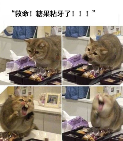 这是一组四宫格猫咪表情包，配文是“救命！糖果粘牙了！！！”顶部有文字描述，画面中猫咪在桌旁疑似被糖果或类似食物黏住牙齿，先是好奇，然后表情逐渐崩溃，最后张嘴露出惊慌失措的样子。整体极其搞笑、夸张，非常适合用来形容吃东西被粘住或遇到突发小尴尬的场合。

梗图巧妙利用了动物表情以及夸大的“粘牙”反应，与日常生活中类似遭遇形成共鸣，轻松趣味十足。

无明显双关或暗示，核心是无奈和搞笑的现实场景对照。