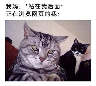 这是一张图文结合的搞笑表情包，上方文字设定场景：妈妈突然站在正在浏览网页的“我”身后。下方图片中，一只灰色虎斑猫趴在前方，眼神警惕又带着慌乱，却强装镇定，完美对应被妈妈“查岗”的“我”的状态；它身后的黑白奶牛猫静静注视着，对应突然出现的妈妈。该图生动还原了孩子在上网时被长辈突然注视，内心紧张不安但表面故作淡定的真实日常，极易引发网友共鸣，是用来调侃家庭生活中这类尴尬又搞笑瞬间的素材。