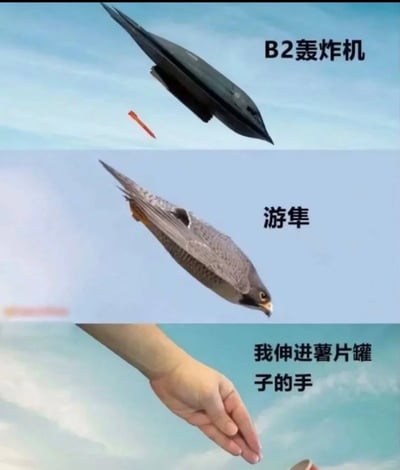 这是一张由三张图片上下拼接而成的趣味对比图，从上到下依次为正在空中投弹的B2轰炸机、高速飞行的游隼、伸进薯片罐子的人类的手。三者均呈现出尖锐的流线型外形，通过这种跨领域的外形对比，调侃了军事装备设计对生物流线型的仿生借鉴，同时也展现了日常动作里的手意外与前两者外形高度重合的趣味巧合，充满了生活化的幽默感。