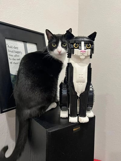 一只黑白相间的真实猫咪与一个高度仿真的乐高猫咪模型并排蹲坐在黑色Klipsch音箱上，形成萌趣对比。猫咪有着明亮的绿色眼睛，正直视镜头，表情好奇专注；乐高模型则完美还原了猫咪的黑白毛色和黄色眼睛，细节精致。背景中可见一幅带英文文字的相框（部分文字为“And they lived happily ever after to the end of their...”），整体场景温馨治愈，展现了宠物与手工创作的可爱互动。