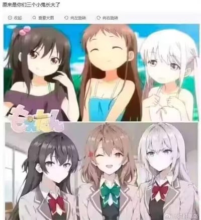 这是一张上下拼接的对比梗图，上图是短篇动画《ももももん》中的三位幼年动漫女孩，从左到右分别是黑发带粉色发饰的女孩、棕发闭眼笑的女孩、白发女孩，她们穿着休闲夏装，神态稚嫩软萌；下图是轻改动画《不时轻声地以俄语遮羞的邻座艾莉同学》里的三位高中女生，从左到右为周防有希、椎名真昼、艾莉，身着校服，气质成熟清冷。图上方配文“原来是你们三个小鬼长大了”，网友因两组角色外貌高度相似，将她们拼接在一起，制造出“同一批角色长大”的趣味调侃效果，没有双关、谐音等特殊梗。