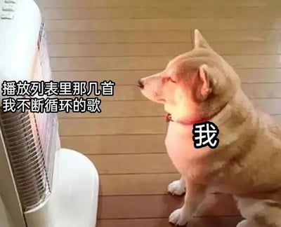 一只戴着红色项圈的浅色狗狗正坐在木地板上，专注地仰头望着前方的白色电器（疑似空调或风扇）。图片左侧配有文字“播放列表里那几首我不断循环的歌”，狗狗身上则标注“我”，通过拟人化手法幽默表现人们沉浸在循环播放歌曲时的专注状态。