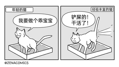这是一幅由ZENACOMICS创作的黑白连环漫画，采用左右对比的形式呈现。左图是标注为“年轻的猫”的猫咪，它蹲在猫砂盆里，开心笑着，神态乖巧，说着“我要做个乖宝宝”，姿态端正，展现出刚与主人相处时的懂事乖巧；右图是标注为“经验丰富的猫”的猫咪，同样在猫砂盆里，但它表情不耐烦，张嘴大喊“铲屎的！干活了！”，尾巴甩动溅出猫砂，姿态理直气壮，表现出和主人熟悉后，开始理所当然使唤主人的状态。漫画通过拟人化的手法，生动刻画了宠物在与主人相处过程中的态度转变，用幽默的方式引发宠物主人的共鸣，十分有趣。