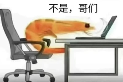图片中一只橙色虾仁坐在灰色办公椅上，身体前倾靠近桌上的笔记本电脑，姿态仿佛在专注办公。上方配有文字“不是，哥们”，形成强烈的荒诞幽默效果。整体为静态卡通风格，白色背景突出主体，通过将海鲜与职场场景结合，制造出“虾仁（谐音‘吓人’）办公”的搞笑反差。