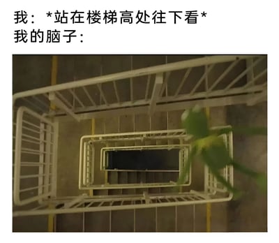 这张梗图展示了站在楼梯高处往下看时的主观体验与大脑感知的对比。上方文字描述为'我：*站在楼梯高处往下看* 我的脑子：'，下方是一张从楼梯顶部向下拍摄的透视照片，展现了一个令人眩晕的螺旋楼梯结构，幽默地表现了恐高或站在高处时大脑产生的眩晕感和空间错觉。