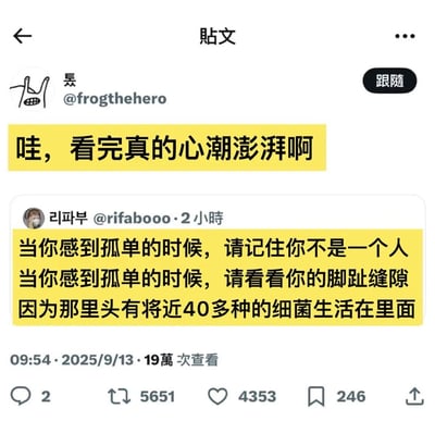 这是一张社交媒体帖子截图，显示用户“昦 @frogthehero”分享了一条内容。帖子顶部有用户头像、用户名及“跟随”按钮，下方黄色高亮文字写着“哇，看完真的的心潮澎湃啊”。接着是转发的另一用户“리파부 @rifabooo”2小时前发布的内容，同样黄色高亮：“当你感到孤单的时候，请记住你不是一个人 当你感到孤单的时候，请看看你的脚趾缝隙 因为那里头有将近40多种的细菌生活在里面”。截图底部显示发布时间“09:54 · 2025/9/13”，以及19万次查看、2条评论、5651次转发、4353个点赞和246次收藏的数据。整体通过幽默的方式调侃孤独感，用脚趾缝隙中的细菌数量作为“不是一个人”的搞笑解释。