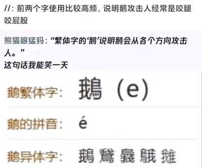 这张图是社交媒体流传的趣味玩梗截图，内容围绕汉字“鹅”的结构展开搞笑脑洞：首先有网友提出“鹅”的前两个字使用高频，说明鹅攻击人经常是咬腿咬屁股，接着网友“熊猫眼猛犸”发表脑洞评论，称繁体字的“鹅”（左右结构的“鵝”）说明鹅会从各个方向攻击人，发布者表示这个评论非常好笑，甚至能笑一天；下方还补充展示了鹅的繁体字写法、拼音、以及多个不同结构的鹅的异体字，用拆解汉字结构的方式玩“鹅攻击性强”的大众共识梗，诙谐有趣。