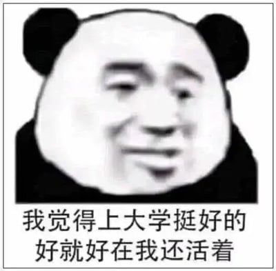 这是一张经过P图改编的静态图文混排表情包，属于熊猫头表情包系列。图中主体是将人类带有无奈、生无可恋情绪的面部，与熊猫的头部形象合成，形成一个滑稽又略带疲惫的表情包形象。图片下方配有文字“我觉得上大学挺好的 好就好在我还活着”，以自嘲的语气调侃大学生活可能面临的学业压力、社交烦恼、生活忙碌等种种困境，表达出大学生在这种生活状态下的疲惫与无奈，用一种幽默的方式抒发对大学生活的吐槽情绪。
