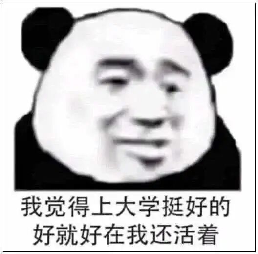 金馆长熊猫头表情包