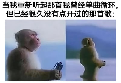 图片上方配有文字“当我重新听起那首我曾经单曲循环，但已经很久没有点开过的那首歌：”，下方是两张左右排列的猴子照片。左侧猴子手持物品侧头，表情若有所思；右侧猴子站立远眺，背景为山水景色，整体通过动物神态生动展现了重新听到旧日喜爱歌曲时的怀旧与感慨情绪。