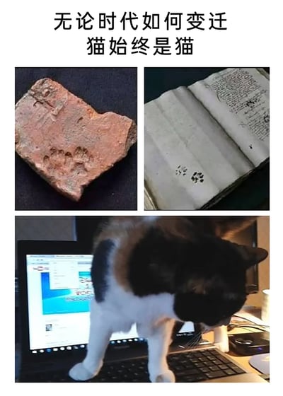 这是一张多图拼接的图文混排趣味图，上方配文“无论时代如何变迁 猫始终是猫”。第一排左侧是一块带有清晰猫爪印的古老陶土残片，代表古代场景；第一排右侧是一本古旧书籍，书页上留有猫爪印，代表近代场景；第二排是一只三色猫正踩在笔记本电脑的键盘上，代表现代场景。三张图串联起不同时代，展现出猫咪从古至今都喜欢留下爪印的调皮天性，凸显猫的贪玩、爱留下痕迹的天性始终未变，充满趣味。