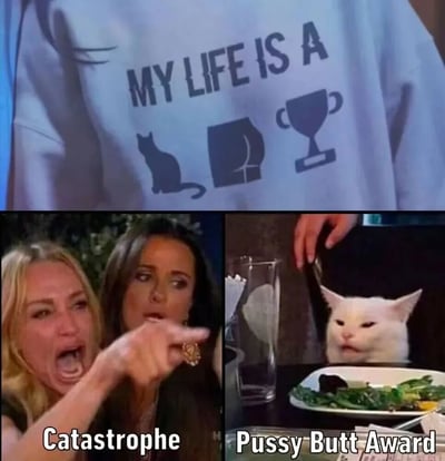图片为三部分拼接的搞笑梗图。顶部是一件印有“MY LIFE IS A”文字及猫咪剪影、盒子图案和奖杯图标的白色T恤特写；左下角是两位女性的画面，左侧金发女性张大嘴巴指向右侧，下方配文“Catastrophe”（灾难）；右下角是一只白猫坐在餐桌前，面前有一盘蔬菜，上方有手拿着叉子，下方配文“Pussy Butt Award”（猫咪屁股奖）。图中通过文字游戏制造幽默：T恤上的猫咪剪影对应“Catastrophe”中的“Cat”，盒子图案形似屁股（Butt），结合奖杯形成“Pussy Butt Award”。