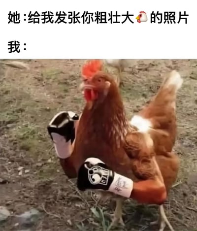 图片上方是一段对话文字：“她：给我发张你粗壮大🐔的照片”和“我：”，下方是一张经过编辑的图片。图中是一只棕色公鸡，被P上了健硕的肌肉手臂，双手戴着黑白相间的拳击手套，昂首挺胸站在泥土草地上，看起来十分强壮有力。图片通过将“粗壮大🐔”的字面意思（强壮的鸡）与可能的暗示形成反差，制造出幽默效果。