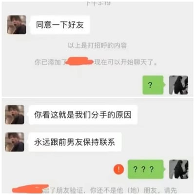 这张梗图展示了一段微信加好友后的聊天，女生质问对方同意前男友好友申请，指出这是他们分手的原因，并强调“永远跟前男友保持联系”，下方接收者一脸懵逼地回复问号。整体氛围轻松搞笑，带有无奈和吐槽前任的意味。没有明显的谐音梗或双关，但情景讽刺了情侣间关于前任的话题尴尬。适合社交平台吐槽用，尤其是恋爱和分手相关情境。