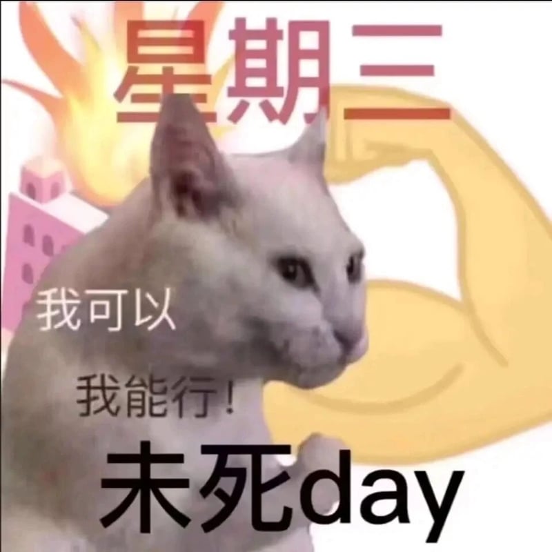 网络meme模板