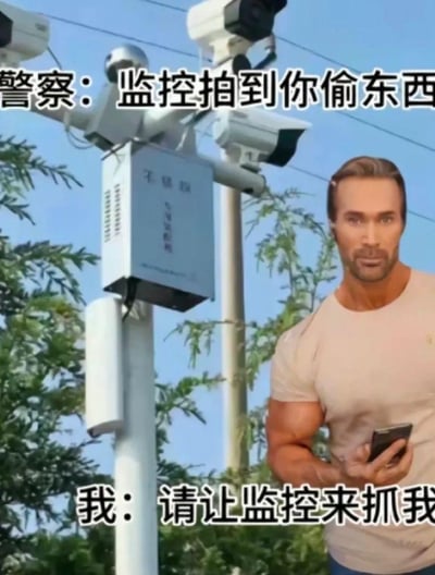 图片中美国健身网红迈克·奥赫恩（大力王梗主角）身着浅色T恤，手持手机自信站立，背景为多个监控摄像头。上方文字显示“警察：监控拍到你偷东西”，下方对应“我：请让监控来抓我”。通过大力王标志性的迷之自信表情配合无逻辑对话，形成典型的“大力王文学”幽默效果，讽刺盲目自信的行为。
