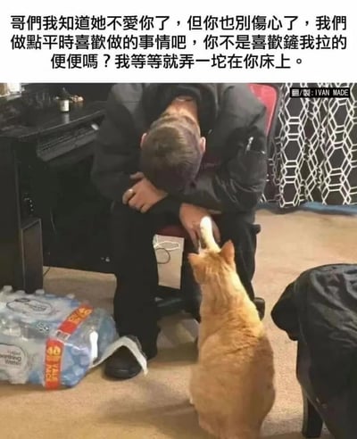 图片展示了一个情绪低落的男子坐在椅子上，头埋在膝盖里，显得非常伤心。一只橘猫站在他面前，用爪子轻轻触碰他的手，似乎在安慰他。图片上方配有幽默文字，以猫的视角说出安慰的话："哥们我知道她不爱你了，但你也别伤心了，我们做点平时喜欢做的事情吧，你不是喜欢舔我拉的便便吗？我等等就弄一坨在你床上。"这种反差极大的安慰方式产生了强烈的喜剧效果，用荒诞的提议来缓解悲伤情绪。