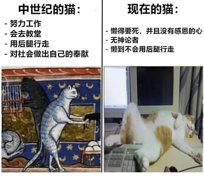 图片为左右对比结构，左侧展示中世纪风格插画中的猫：两只猫用后腿站立，一只似乎在操作工具，背景有星月图案装饰，配文描述其“努力工作、会去教堂、用后腿行走、对社会做出奉献”；右侧为现代真实猫咪照片：一只黄白相间的猫四仰八叉趴在电脑键盘上睡觉，配文描述其“懒得要死且没有感恩的心、无神论者、懒到不会用后腿行走”。通过夸张对比制造幽默效果，讽刺现代猫咪的“慵懒”与中世纪插画中猫的“勤劳”形成鲜明反差。