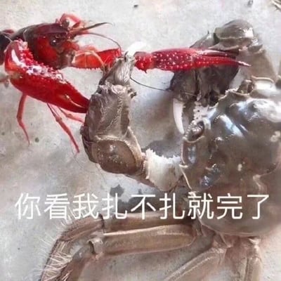 图片中一只鲜红色的小龙虾正用它那巨大的螯足钳住一只螃蟹的身体，摆出一副极具攻击性的姿态。小龙虾通体红亮，螯足张开如剪刀般对准螃蟹，而螃蟹则呈现出防御状态，似乎在试图抵挡小龙虾的攻击。图片下方配有文字“你看我扎不扎就完了”，这句话通过谐音和拟人的手法，将小龙虾螯足的“扎”与方言中“收拾/教训”的含义结合，形成幽默效果，让整个画面充满了戏剧张力和搞笑氛围。