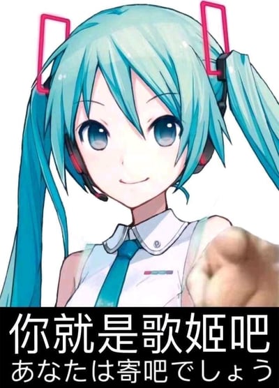 这是一张二次创作的搞笑梗图，主体是虚拟歌姬初音未来的上半身形象，她原本的手部被替换成了真人的手指，指向观看者，面带微笑。图片下方配有简体中文文字“你就是歌姬吧”，以及一行故意写错的日文“あなたは寄吧でしょう”，利用“歌姬”与日文发音近似的脏话谐音制造戏谑效果，是用来调侃他人的表情包。