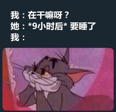这是一张贴合当代年轻人社交情绪的改编梗图，上方用文字构建了一段恋爱中的无奈对话：询问对方近况的消息发出9小时后，只得到一句“要睡了”的回复，下方配用动画《猫和老鼠》里汤姆猫双手捂脸、崩溃蜷缩的画面，精准传递出消息被长时间冷落、期待完全落空后的失落与崩溃感，戳中了很多人在社交或亲密关系中等待回复却被敷衍的尴尬心境，用搞笑的卡通形式放大了这种情绪共鸣。