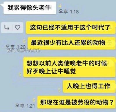 这是一张带有韩文时间标识的海外社交平台聊天记录截图，对话围绕“疲惫”展开：对话者A用传统说法“我累得像头老牛”形容自己的劳累，对话者B则针砭时弊地反驳，指出当代社会中人类的劳累程度远超动物——过去被役使的老牛至少夜晚能休息，而如今的打工人连夜晚都要工作，通过对比讽刺了当代职场高强度的工作状态，戳中了打工人被过度劳役的痛点，引发对加班文化的反思与共鸣。