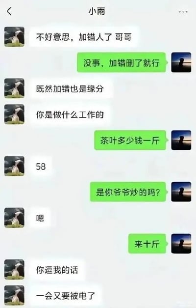 这是一张聊天记录截图，展示了一段经典的“加错人”式网络销售对话。一方（备注“小雨”）以“加错人了哥哥”为开场，对方回应“没事，加错删了就行”后，小雨试图以“缘分”展开话题并询问工作。对方直接切入“茶叶多少钱一斤”，小雨答“58”，对方追问“是你爷爷炒的吗？”并表示“来十斤”，小雨最后回应“你逗我的话，一会又要被电了”。对话充满网络常见的“加错人”引流销售套路，带有讽刺与搞笑意味。