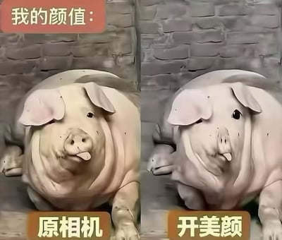 这是一张左右结构的搞笑对比梗图，以家猪的形象类比人的拍照效果：左侧为未经过处理的家猪实拍图，搭配“原相机”标注，右侧为经过美颜滤镜处理、眼睛放大、皮肤磨皮失真的同一只家猪图，搭配“开美颜”标注，顶部统一标注“我的颜值：”，用夸张的反差感调侃普通人用手机原相机和美颜相机拍照时呈现出的颜值差异，充满自嘲的趣味性，非常贴合当代人拍照离不开美颜的生活现状。