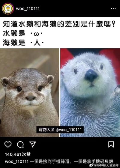 这是一张左右分栏的趣味梗图，通过动物外形特征玩形态联想梗：左侧是水獭，其脸部的圆润形态和表情对应文字里的“·ω·”符号，营造出乖巧可爱的感觉；右侧是海獭，其脸部轮廓和神态看起来酷似人脸，对应文字里的“·人·”描述。图下方的配文进一步拟人化玩梗，调侃水獭是“捡到手机归还”的乖巧类型，海獭是“拿手机砸贝壳”的粗犷类型，用幽默的方式区分两种动物。图片带有发布者水印“寵物大全 @woo_110111”，右下角还有微博转发者的水印“@亭林镇无业青年”，整体风格轻松搞笑，将动物外形与拟人化设定结合制造笑点。