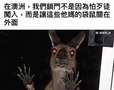 这是一张搞笑P图梗图，上方配有调侃文字“在澳洲，我们锁门不是因为怕歹徒闯入，而是让这些他妈的袋鼠关在外面”，图中的袋鼠被修改出发红光的眼睛，双手扒在门上，眼神和姿态营造出强烈的压迫感，仿佛像“歹徒”一样想要闯入屋内，用夸张戏谑的方式调侃澳洲袋鼠数量繁多、时常闯入居民住宅的特殊生活现状，右下角标注有“译/偷偷笑”的翻译水印。