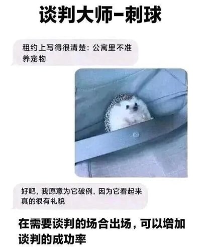 图片上方标题为“谈判大师-刺球”，中间是一只刺猬蜷缩在布料口袋中的照片，周围配有文字对话。上方文字气泡写着“租约上写得很清楚：公寓里不准养宠物”，下方气泡回应“好吧，我愿意为它破例，因为它看起来真的很有礼貌”，底部文字说明“在需要谈判的场合出场，可以增加谈判的成功率”。通过可爱的刺猬形象和幽默的对话，调侃其“谈判能力”。