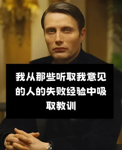 图片中是一位穿着黑色西装的中年男性，表情严肃，双手交叉放在身前。图片下方有一行白色文字："我从那些听取我意见的人的失败经验中吸取教训"。这张图片通过将严肃的人物形象与幽默的文字结合，形成了一种讽刺效果，暗示自己通过观察他人的失败来获取经验。