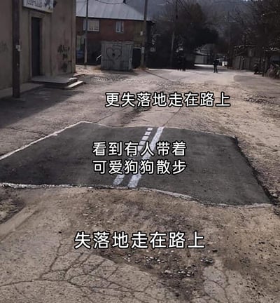 这是一张利用路面视觉错觉制作的趣味梗图，画面展示了一条郊外或小镇的老旧道路，道路中间的沥青修补区域与白色标线组合，形成了类似地面凹陷的视觉错位效果。图中配有三段递进的文字，分别为“失落地走在路上”“看到有人带着可爱狗狗散步”“更失落地走在路上”，将原本看到可爱动物应该变好的情绪反向，通过视觉错觉具象化“情绪跌入谷底”的感受，用幽默的方式调侃生活中小小的情绪落差，画面远处还能看到有人带着狗狗散步，呼应了文字内容。