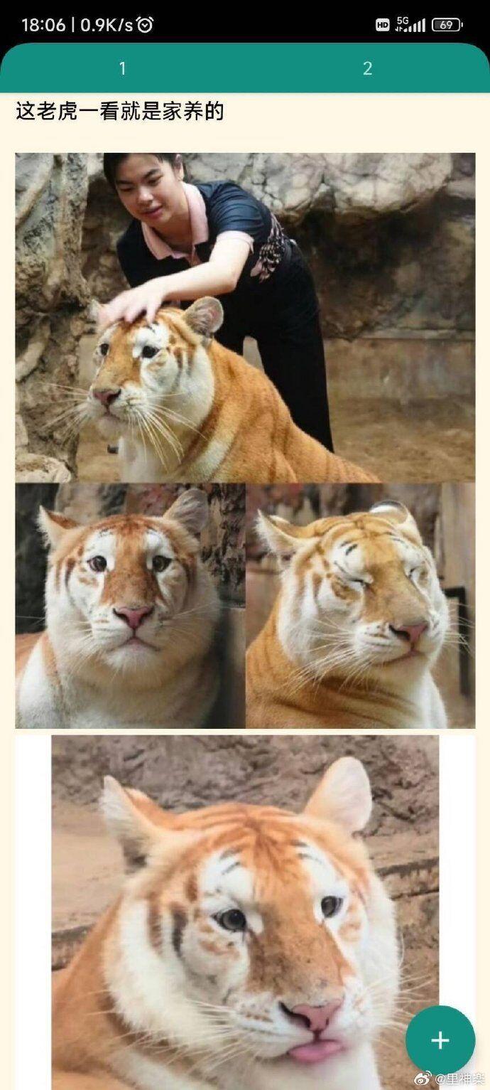 网友自制搞笑梗图