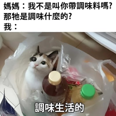 图片上方是妈妈与“我”的对话文字：“媽媽：我不是叫你帶調味料嗎？那牠是調味什麼的？我：”，下方是一只黑白棕相间的猫咪蜷缩在装有酱油瓶、醋瓶等调味料的透明塑料袋中，猫咪睁着圆溜溜的大眼睛，表情无辜地向上看，图片底部配有文字“調味生活的”。整体通过“调味料”的字面意思与“调味生活”的引申义制造幽默效果，展现了宠物给生活带来的趣味。