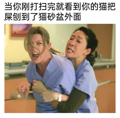 这是一张精准戳中养猫人群共鸣的梗图，上方配有文字“当你刚打扫完就看到你的猫把屎刨到了猫砂盆外面”，下方是美剧《实习医生格蕾》的经典场景截图：画面中，金发的梅利迪丝·格蕾表情极度愤怒，大张嘴巴，身体前倾试图挣脱，呈现出崩溃到想要爆发的状态；黑发的克里斯蒂娜·杨从身后紧紧抱住她，双手用力固定住她的身体，脸上满是焦急阻拦的神情。整个画面将主人刚完成打扫，就看到猫咪把排泄物刨到猫砂盆外时，那种瞬间涌上的愤怒、崩溃，以及被理智（或是另一个冷静的自己）强行拉住的复杂状态，生动又夸张地展现了出来，让养猫人感同身受。
