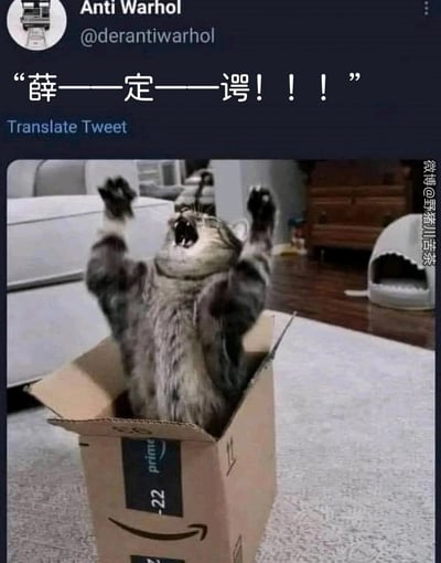 这是一张结合物理概念的趣味社交媒体梗图，整体呈现为推特截图形式。上方是推特用户Anti Warhol（@derantiwarhol）发布的内容，配文为拉长语调的「薛——定——谔！！！」；下方主体是一只灰毛猫咪，坐在亚马逊快递纸箱中，双爪高高举起，仰头张嘴大叫，神态激动夸张，完美契合配文的情绪。图片右侧带有微博用户「野猪川苦茶」的水印，该梗图将量子力学中著名的「薛定谔的猫」思想实验进行趣味化演绎，把猫咪和「薛定谔」关联，用猫咪激动的神态制造搞笑效果，属于对动物实拍素材的二次创作玩梗。