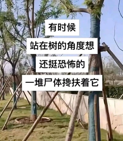 图片展示了一片户外场景，几棵树被木桩支撑着。图片上叠加了文字：'有时候站在树的角度想还挺恐怖的一堆尸体搀扶着它'。这是一种拟人化的幽默表达，将支撑树木的木桩比喻成'尸体'，从树的视角创造出一种荒诞又有点恐怖的想象。