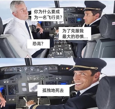 这是一张由上下两部分拼接而成的连环搞笑图，场景设定在飞机驾驶舱内。上图中，左侧的资深白发飞行员面露疑惑，向右侧的年轻飞行员询问成为飞行员的原因，年轻飞行员表示是为了克服最大的恐惧，资深飞行员顺势追问是否是恐高；下图画面一转，资深飞行员消失不见，年轻飞行员双手握着两个驾驶操纵杆，脸上露出笑容，揭晓自己的恐惧是“孤独地死去”，通过资深飞行员的消失制造荒诞的黑色幽默，用反转的对话打造笑点，暗示年轻飞行员通过这种方式避免自己孤独离世，逻辑奇葩却充满趣味。