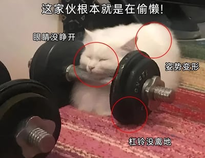 一只白色猫咪趴在粉色地毯上，周围放着黑色哑铃。猫咪双眼紧闭，似乎在睡觉，却被配上了“健身偷懒”的趣味解读。图中用红色圆圈分别标注了猫咪“眼睛没睁开”、“姿势变形”和“杠铃没离地”的细节，上方文字“这家伙根本就是在偷懒！”点明主题，通过拟人化手法制造出猫咪假装健身实则摸鱼的搞笑效果。