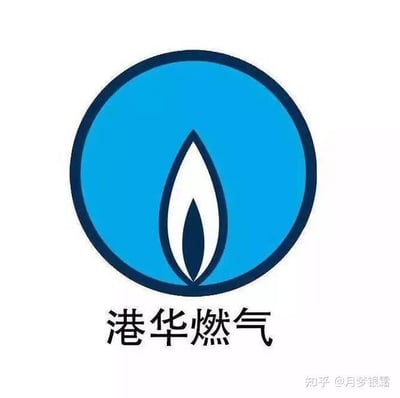 这是港华燃气的官方品牌标识，整体为顶配底文的静态单图设计。上方是带有深蓝色外框的亮蓝色圆形图案，内部是抽象化的火焰造型，火焰以白、深蓝配色呈现，直观呼应燃气的行业属性，蓝色也传递出安全、可靠的品牌特质；下方配有黑色的“港华燃气”简体中文品牌名称，字体规整，整体设计简洁大方，清晰展现品牌身份，给人专业、值得信赖的观感。