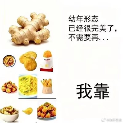 整张图是趣味谐音梗创作，左上角放置完整的鲜生姜，右上方配文“幼年形态已经很完美了，不需要再…”，下方排列了9种不同的生姜加工食品，包括凉拌姜丝、炸姜块、姜味派、姜汁甜品等，右下角配粗体字“我靠”，用调侃的语气吐槽生姜本身已经很好，不需要被制作成这么多不同的食物，利用视觉反差和意料之外的内容发展制造笑点。