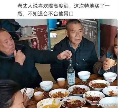 图中展示了一桌人围坐吃饭的日常场景，桌上摆放着多个吃了一部分的家常菜碗，中间显眼位置是一瓶标注96度的烈性酒（生命之水）。图片上方配文：“老丈人说喜欢喝高度酒，这次特地买了一瓶，不知道合不合他胃口”。
这是一个利用反差感制造笑点的梗图：老丈人只是表达了喜欢喝高度酒的喜好，但买的酒度数高到夸张，这种“过于实在”的行为形成了强烈反差，让人觉得滑稽好笑。