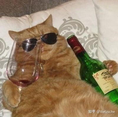 一只橘色的猫咪仰卧在带有花纹的白色枕头上，戴着黑色墨镜，显得十分酷拽。它的左爪拿着一个装有红色液体的高脚杯，右爪则搭在一瓶绿色的红酒瓶上，瓶身上有标签。整体画面将猫咪拟人化，营造出一种悠闲、放松又带点滑稽的“大佬”氛围，仿佛在享受惬意的品酒时光。