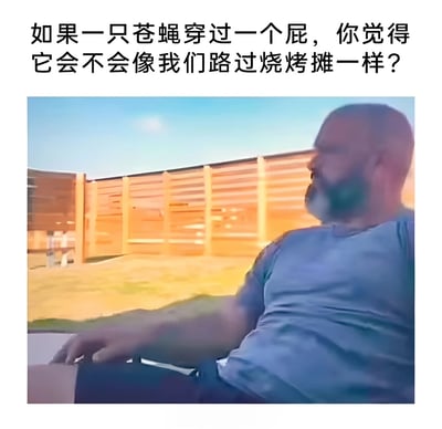 图片上方有一行幽默提问文字：'如果一只苍蝇穿过一个屁，你觉得它会不会像我们路过烧烤摊一样？'，下方是一位穿着蓝色T恤的光头胡须男性侧身坐在户外，背景有木栅栏和草地，人物表情困惑，转头向右看。图片通过将苍蝇穿过屁与人类路过烧烤摊进行类比，创造出荒诞幽默的效果。