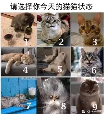 这是一张九宫格形式的趣味图片，顶部配有文字“请选择你今天的猫猫状态”，每一格都有一只状态各异的猫咪，对应不同的情绪状态：1. 第一格的猫咪趴在酒瓶和两个红酒杯旁，呈现出微醺迷糊的状态；2. 第二格的猫咪眉头紧皱，表情严肃，看起来十分不爽；3. 第三格的猫咪睁着圆溜溜的大眼睛，吐着小舌头，一脸懵懂好奇；4. 第四格的猫咪蜷缩在沙发上，睡得十分香甜，是疲惫休眠的状态；5. 第五格的猫咪四仰八叉地躺着，姿态放松，尽显惬意；6. 第六格的猫咪眼睛瞪大，嘴巴张开，看起来兴奋又开心；7. 第七格的猫咪瘫在蓝色平面上，旁边放着一杯饮品，呈现出摆烂放空的状态；8. 第八格的猫咪毛发炸起，眼神浑浊无光，看起来憔悴又烦躁；9. 第九格的猫咪耷拉着脸蛋，表情委屈低落，看起来有些难过。这张图用猫咪的不同状态来对应人们日常的各种情绪，供网友选择贴合自己当日心情的状态，十分有趣治愈。