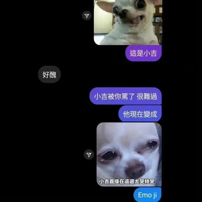 这是一张由两张吉娃娃照片组成的搞笑梗图。上方照片中，一只白色吉娃娃吐着舌头，表情看起来有些滑稽。下方照片中，同一只狗眼睛含泪，表情悲伤，似乎在哭泣。图中配有对话文字，讲述了小狗"小吉"因为被说"好丑"而难过哭泣，最后变成了"Emo ji"（谐音emoji）的故事。